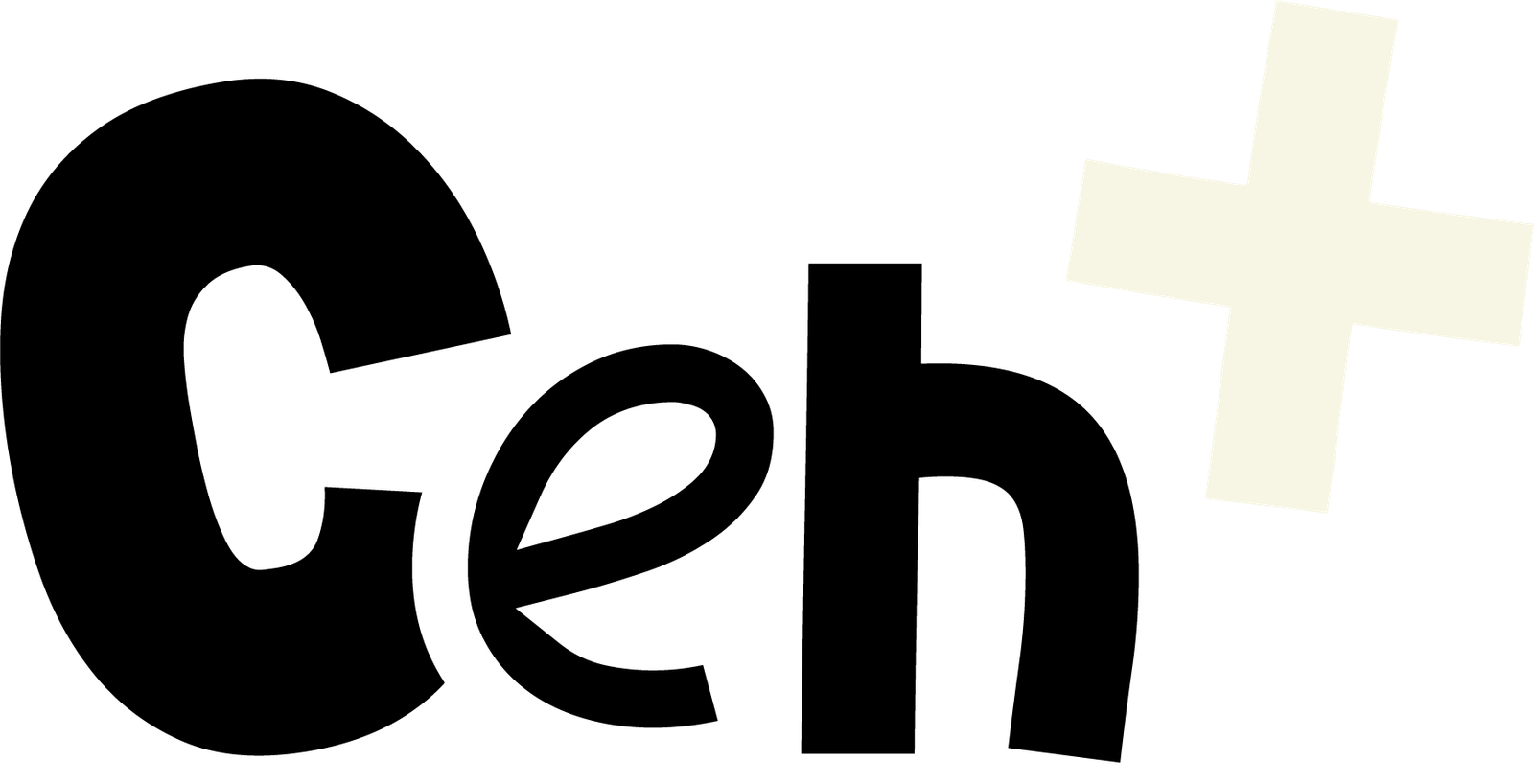 CEHLider